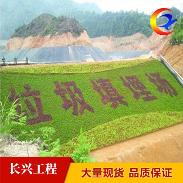 垃圾填埋場城建標(biāo)椎2.0mm土工膜